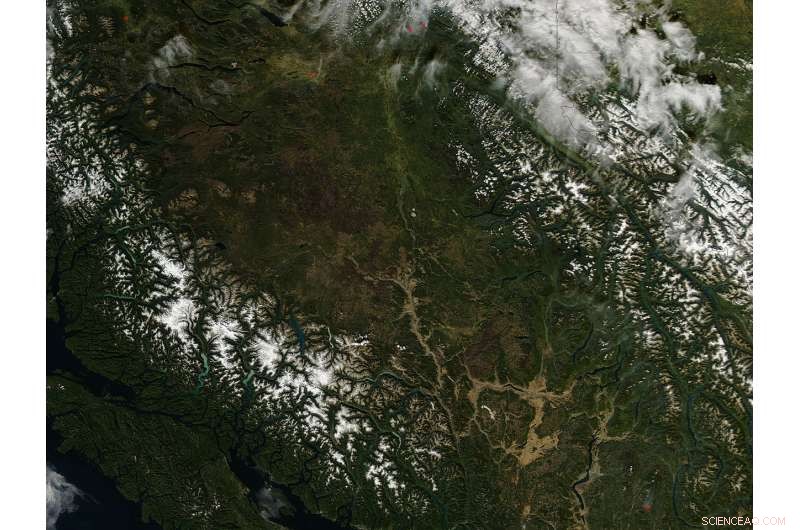 NASA Satellite Reveals Extensive Burn Scars Across British Columbia