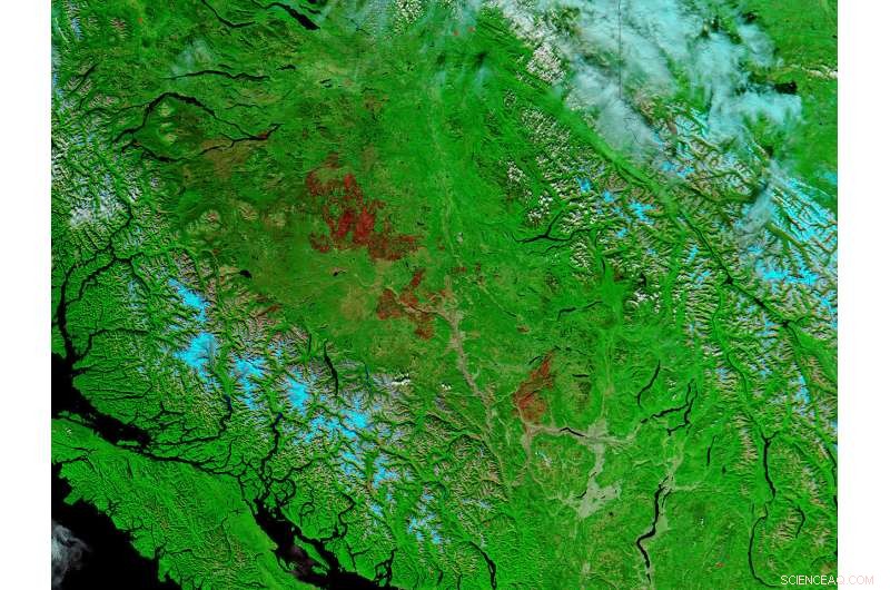 NASA Satellite Reveals Extensive Burn Scars Across British Columbia