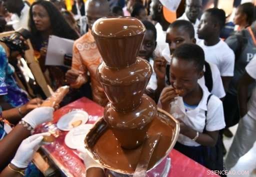 Ivory Coast Achieves Record Cocoa Production: 2.15 Million Tonnes in 2016‑17