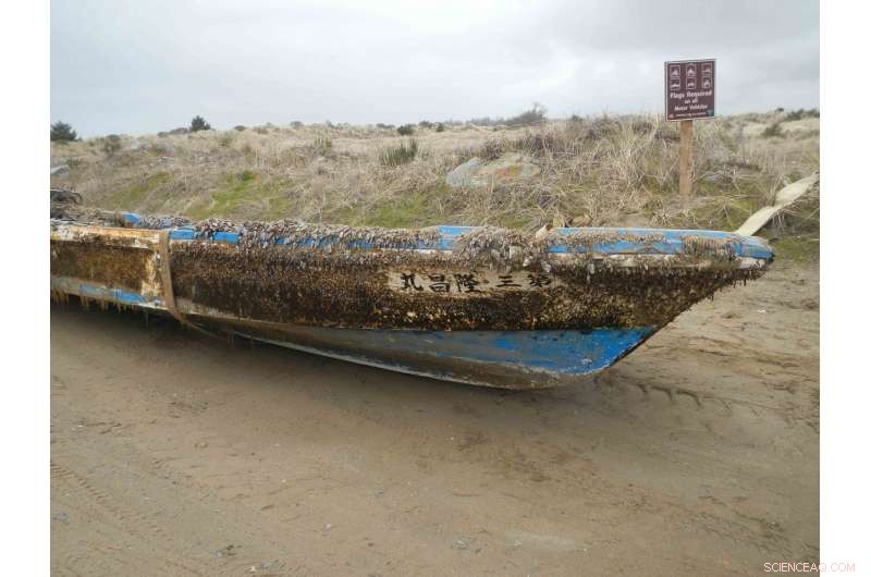 Tsunami Trains Hundreds of Aquatic Species on a Pacific Voyage