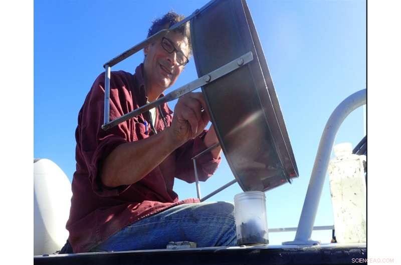 Tsunami Trains Hundreds of Aquatic Species on a Pacific Voyage