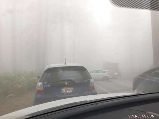 Yosemite Rockfall: No Heightened Danger for Visitors