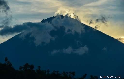 Volcanic Rescue Mission: Volunteers Save Animals Near Bali s Active Volcano