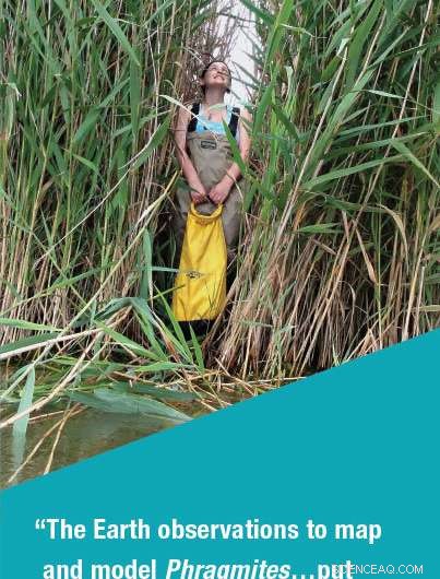 Space Data Empower Great Lakes Communities to Combat Invasive Species