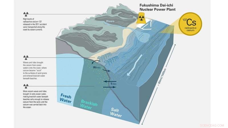 Scientists Identify Fresh Source of Radioactive Cesium Near Fukushima Disaster Site