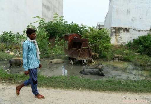 Massive Waste Crisis Plagues India s Dirtiest City