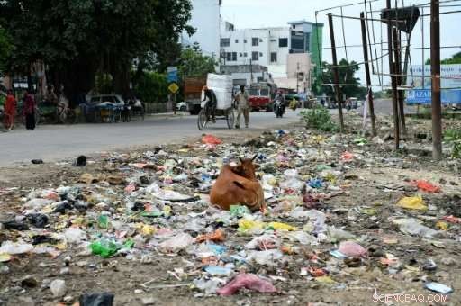 Massive Waste Crisis Plagues India s Dirtiest City