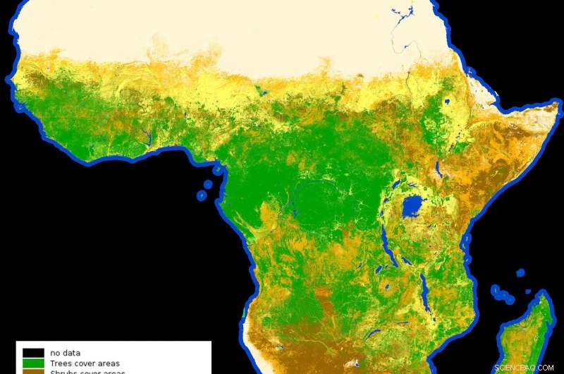 High-Resolution African Land Cover Map (2015-2016)