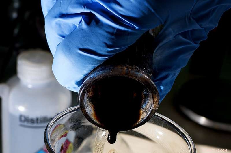 New Study Reveals Organic Soils Sequester and Retain Significantly More Carbon