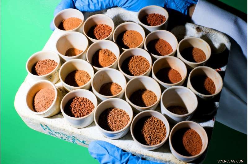 New Study Reveals Organic Soils Sequester and Retain Significantly More Carbon