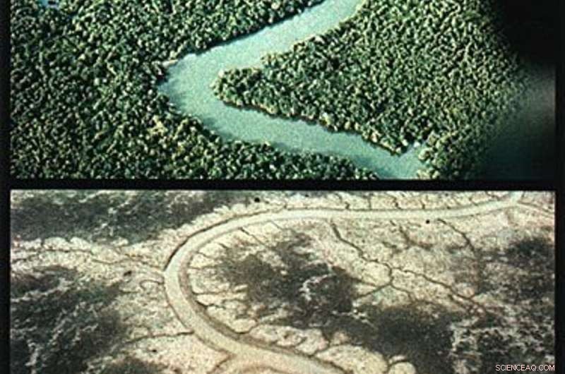 The Long‑Term Fallout of U.S. Chemical Warfare in Vietnam