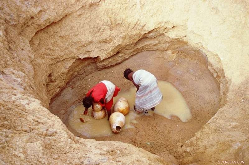 Confronting Desertification: A Critical Challenge in Sub‑Saharan Africa