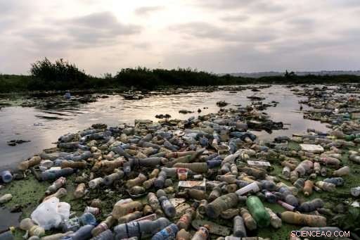 Prince Charles Urges Action: Plastic Found in Fish, Calls for Immediate Measures