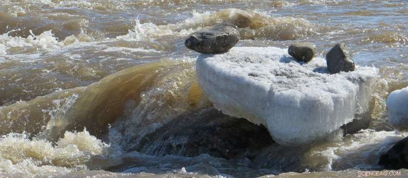 How Sunlight and Microbes Turn Arctic Permafrost Carbon into CO₂