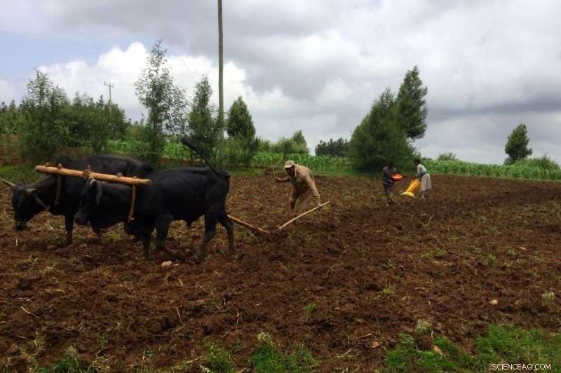 New Study Projects How Climate and Socioeconomic Changes Will Shape Health Outcomes in Sub‑Saharan Africa