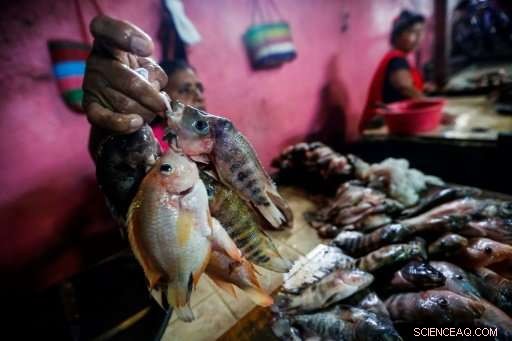 Lake Managua: A Critical Resource for Poor Nicaraguans Amid Growing Pollution