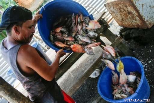 Lake Managua: A Critical Resource for Poor Nicaraguans Amid Growing Pollution