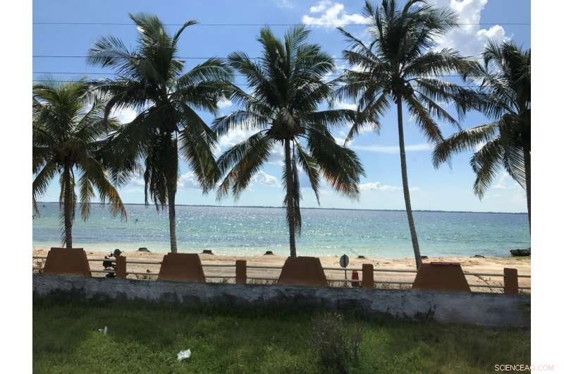 Building Weather Resilience in Coastal Communities: Practical Strategies