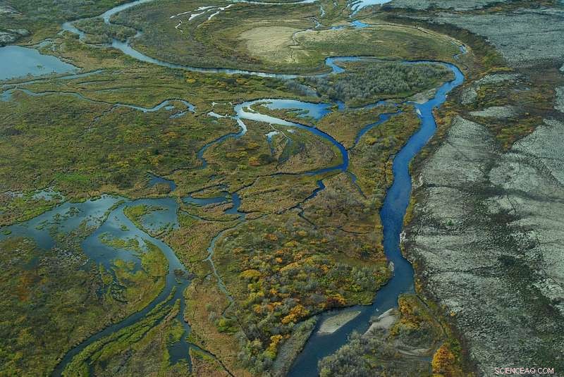 Study Reveals Trump Administration’s Flawed Analysis Behind WOTUS Rescission Decision