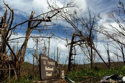 Puerto Rico’s Environment Faces Long Recovery After Hurricane Devastation