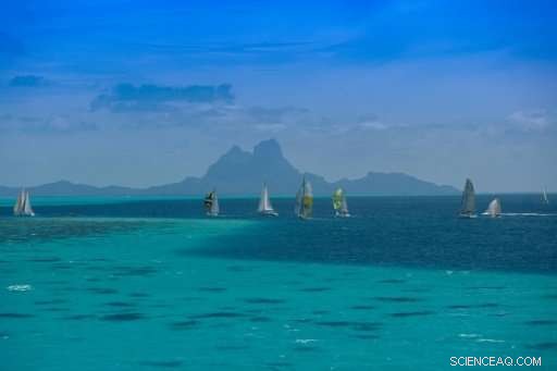 Niue Declares Vast Marine Sanctuary to Protect Ocean Life