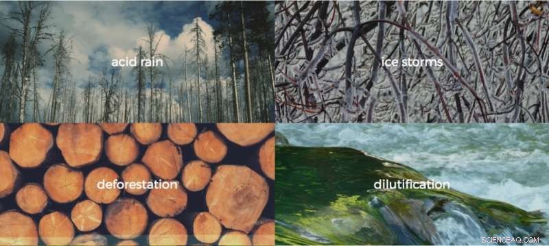 Students Showcase 60 Years of Data on an Interactive Web Portal