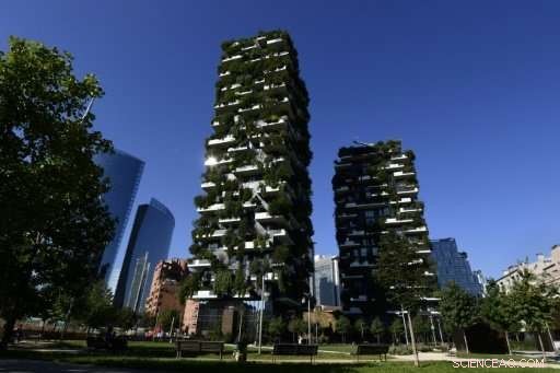 Milan s Green Skyscrapers Gain Global Momentum