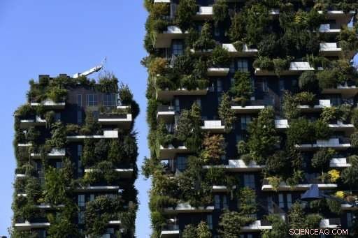 Milan s Green Skyscrapers Gain Global Momentum