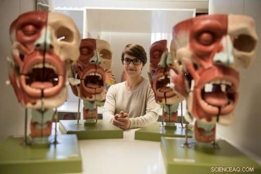 Hurricane Survivors Transition from Caribbean to England: New Lives at the University of Central Lancashire