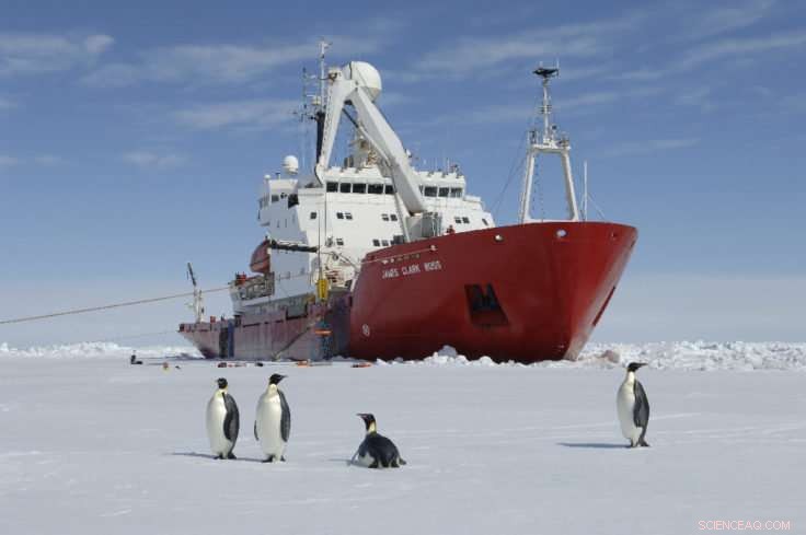 Scientists Set to Explore Hidden Antarctic Ecosystem Following Massive Iceberg Calving
