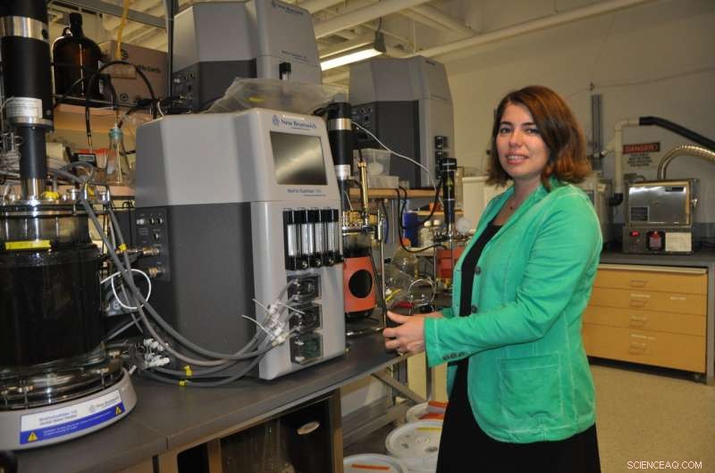 Scientists Remove Foul Smells from Wastewater Treatment, Enhancing Community Trust