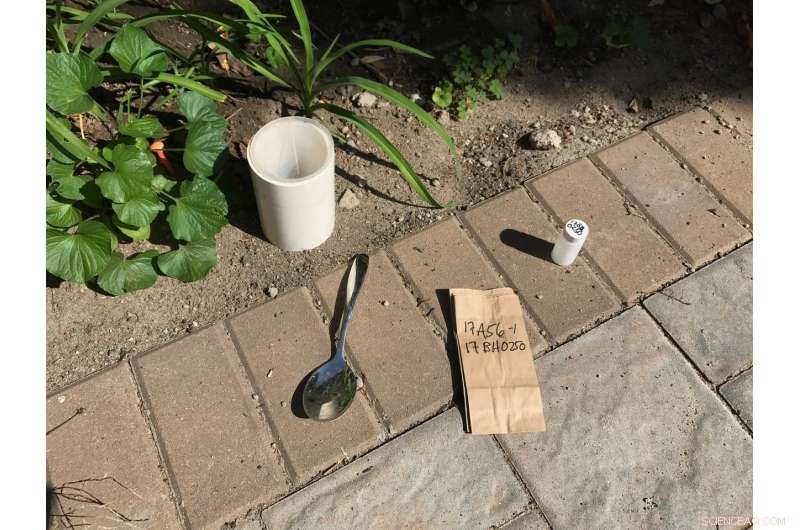 Lead Contamination Found in Numerous Brooklyn Backyards: What Homeowners Need to Know