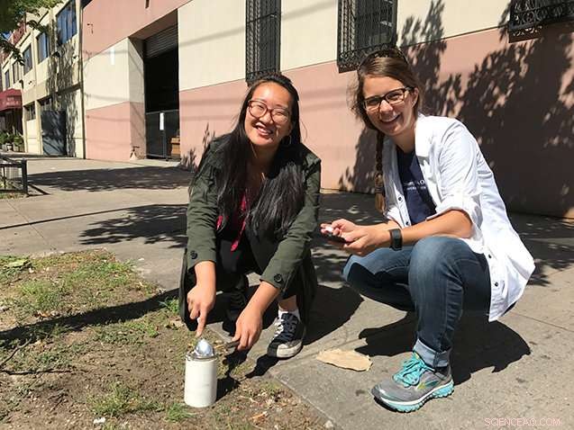 Lead Contamination Found in Numerous Brooklyn Backyards: What Homeowners Need to Know