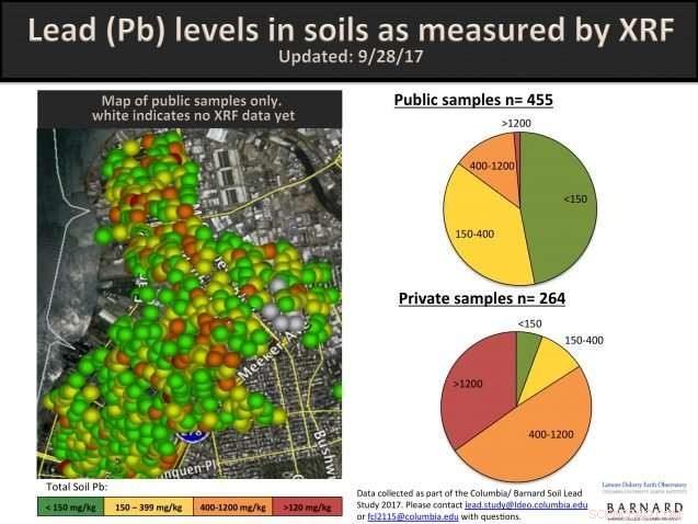 Lead Contamination Found in Numerous Brooklyn Backyards: What Homeowners Need to Know