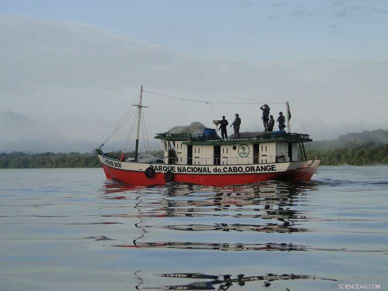 Researchers Map Illicit Natural Resource Exploitation in Brazil’s Protected Amazon