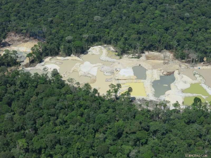 Researchers Map Illicit Natural Resource Exploitation in Brazil’s Protected Amazon