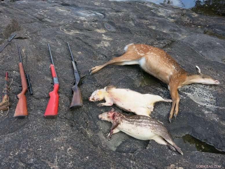 Researchers Map Illicit Natural Resource Exploitation in Brazil’s Protected Amazon