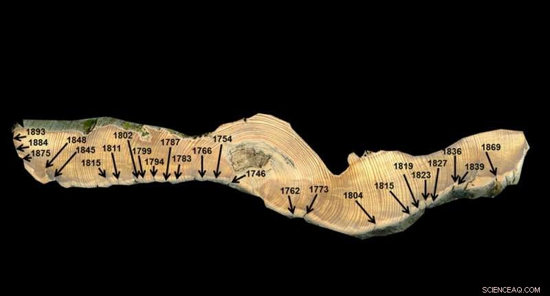 Researchers Study Climate’s Role in Wildfire Frequency