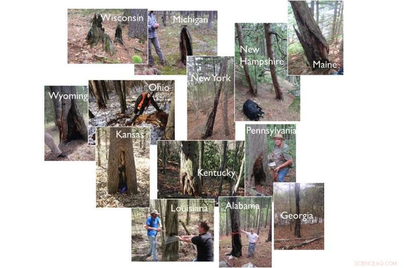 Researchers Study Climate’s Role in Wildfire Frequency