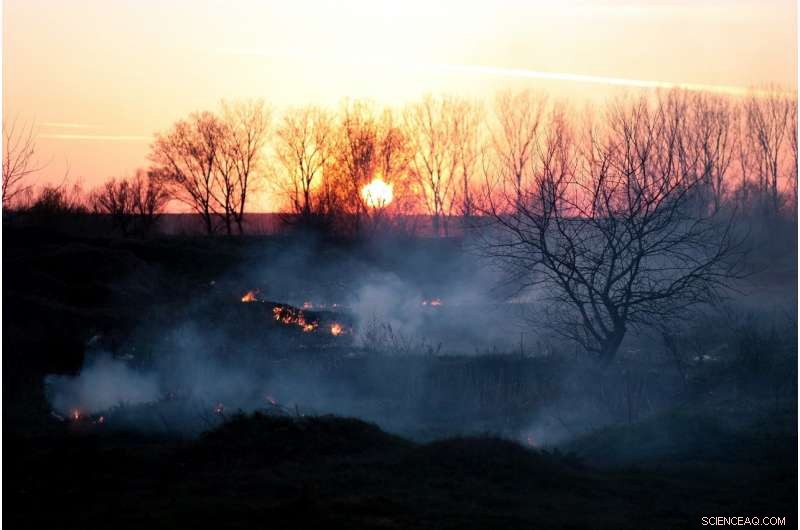 New Research Questions the Climate Impact of Brown Carbon Aerosols from Wildfires