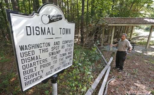 Feds Revive Great Dismal Swamp After 250 Years of Logging