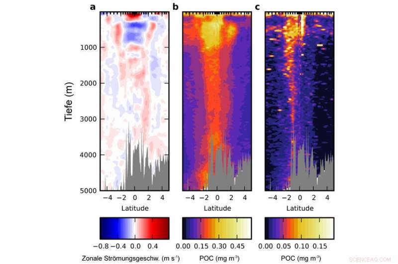 Scientists Reveal Detailed Map of Biological Particle Transport to the Deep Sea Along the Equator