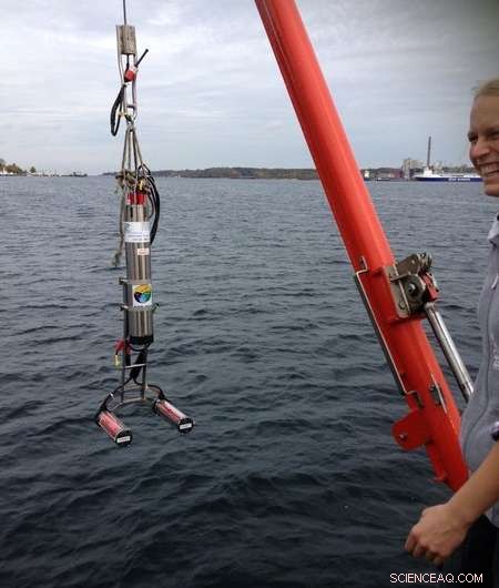 Scientists Reveal Detailed Map of Biological Particle Transport to the Deep Sea Along the Equator