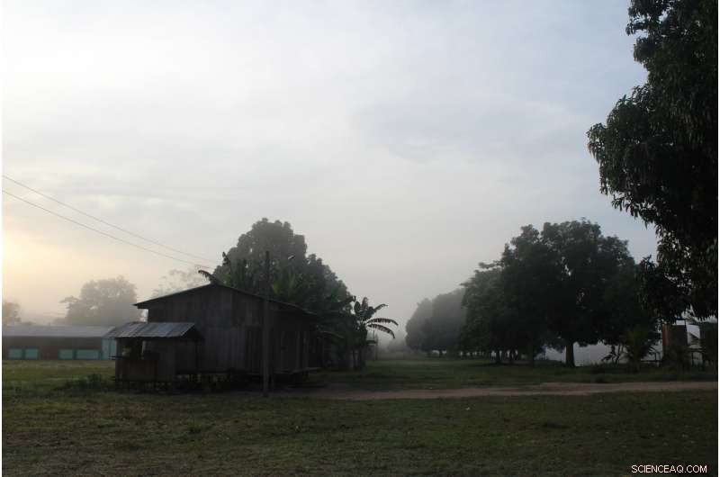 Innovative Conservation Strategy Empowers Indigenous Communities