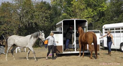 Emergency Alert Systems Under Scrutiny After Recent Wildfire Tragedies