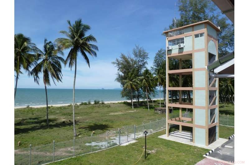 Groundbreaking Study Highlights Fresh Danger to the Ozone Layer