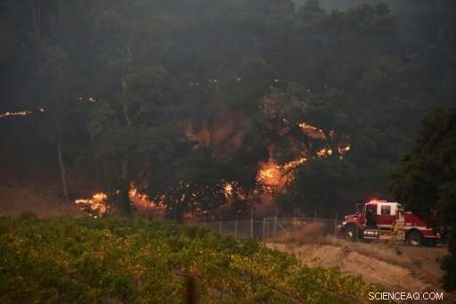 31 Killed in Record-Setting California Wildfires