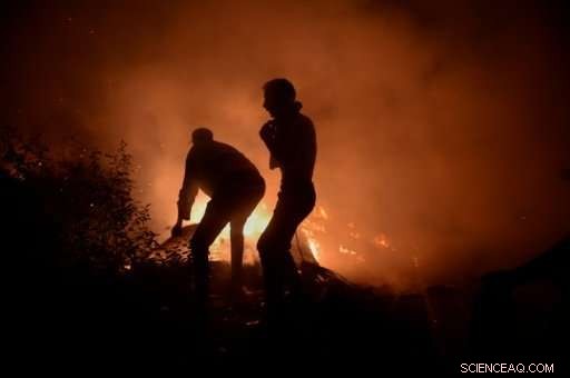 Wildfires Claim 30 Lives in Portugal and Spain: Tragic Crisis