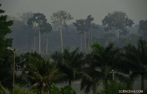 Small-Scale Farmers Tackle Major Amazonian Challenges