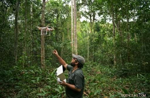 Small-Scale Farmers Tackle Major Amazonian Challenges